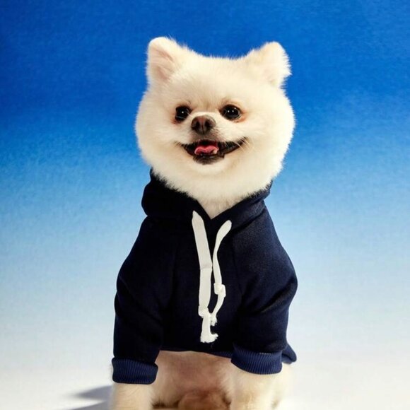 New PETSIN Dog Hooded Sweatshirt Woof University Letter Print, Navy, S & M - Picture 5 of 11